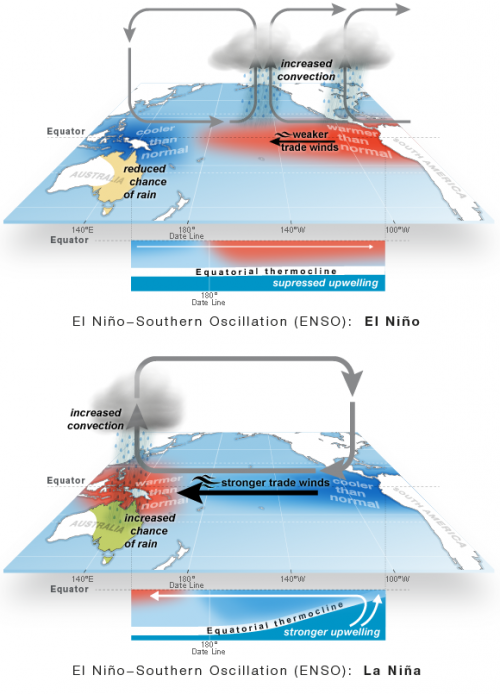 Cycle ENSO de réchauffement et de refroidissement de l'océan Pacifique tropical