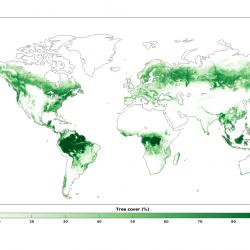 Distribution du couvert arboré en 2000