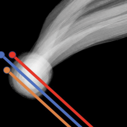 ESA’s Comet Interceptor missie scheervlucht