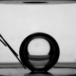 Formation d’une bulle à l’intérieur de la cellule d’ébullition