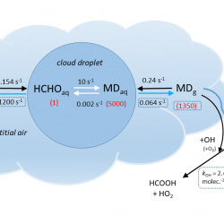 Représentation schématique des processus intra-nuageux